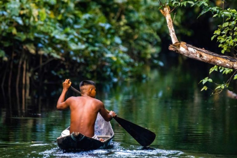 Inteligência Artificial da Amazônia